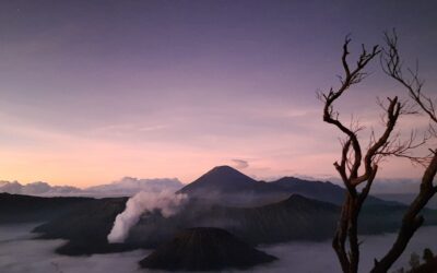 Bromo and Ijen 3 Days 2 Nights Private Trip